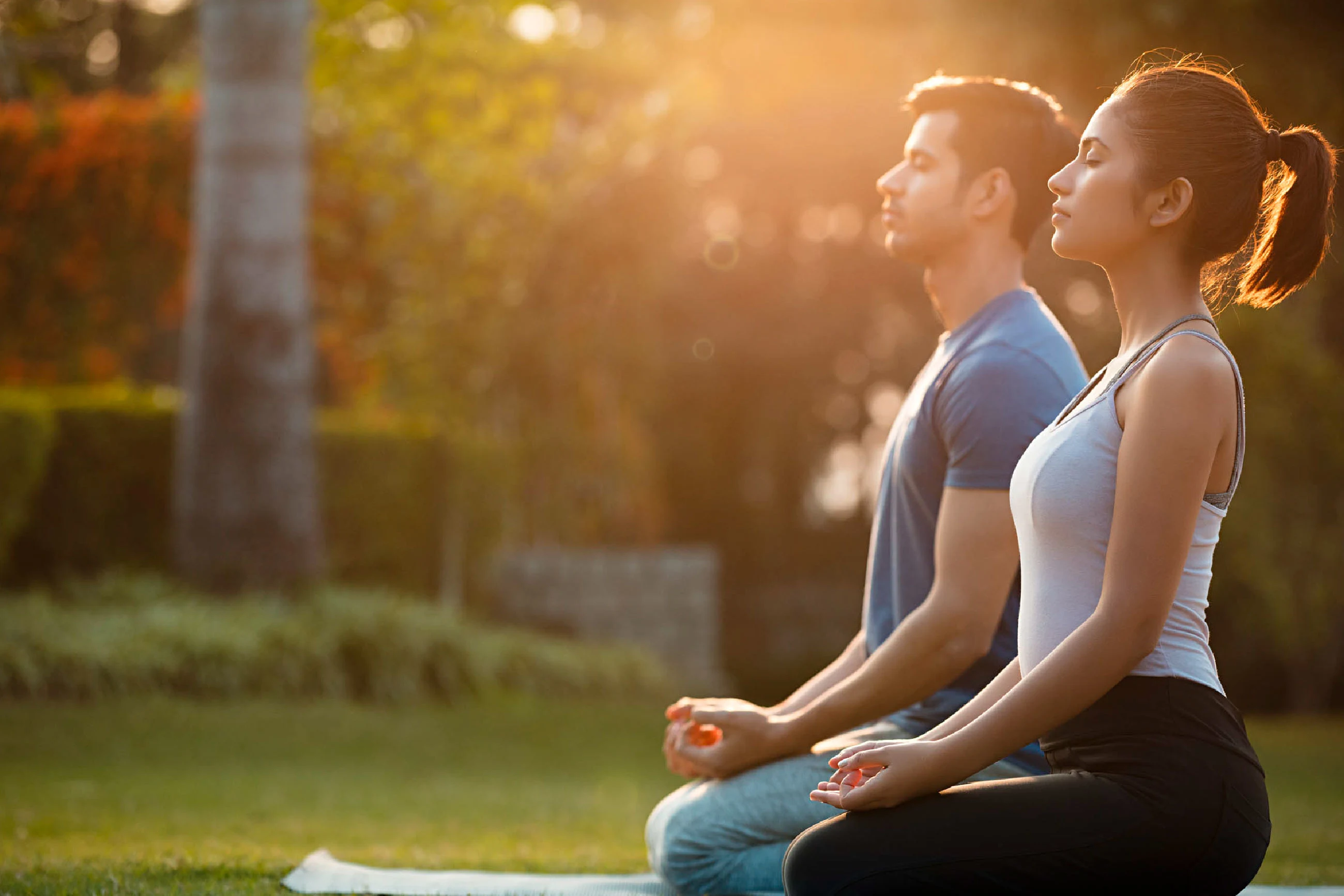 Wellness and Holistic Healthcare